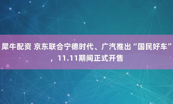 犀牛配资 京东联合宁德时代、广汽推出“国民好车”，11.11期间正式开售